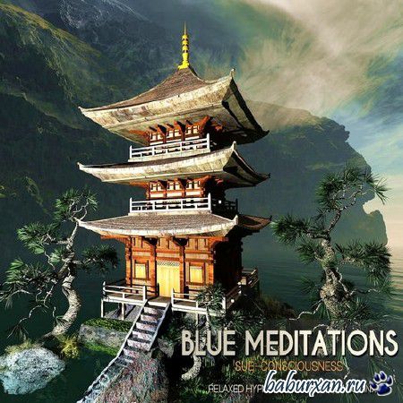 Blue Meditations: Sub-Consciousness (2013)